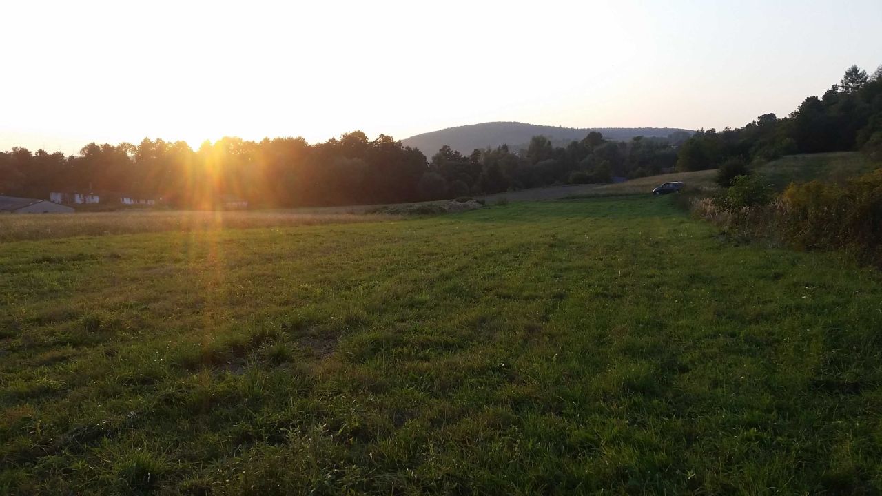 Działka siedliskowa Radwanowice. Zdjęcie 7