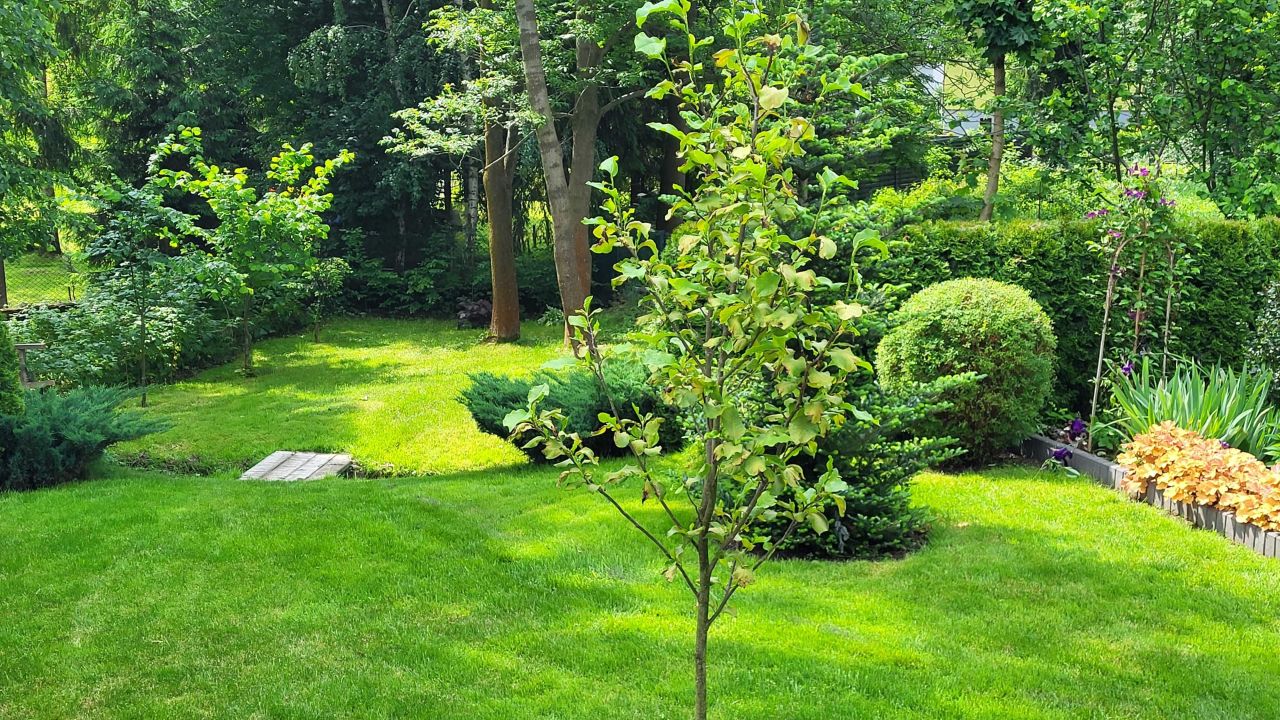 dom wolnostojący, 6 pokoi Leśna Nowa Leśna, ul. Niezapominajki. Zdjęcie 6