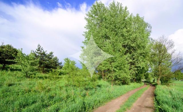 Działka rolna Łapka. Zdjęcie 6