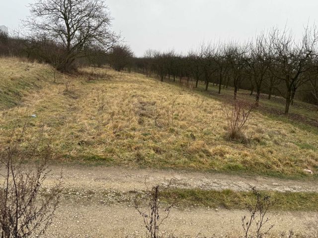 Działka rolna Busko-Zdrój. Zdjęcie 1