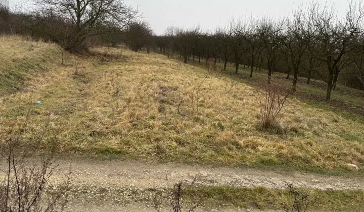 Działka rolna Busko-Zdrój