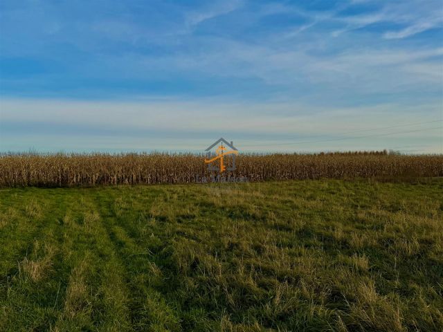 Działka budowlana Rusocice. Zdjęcie 5