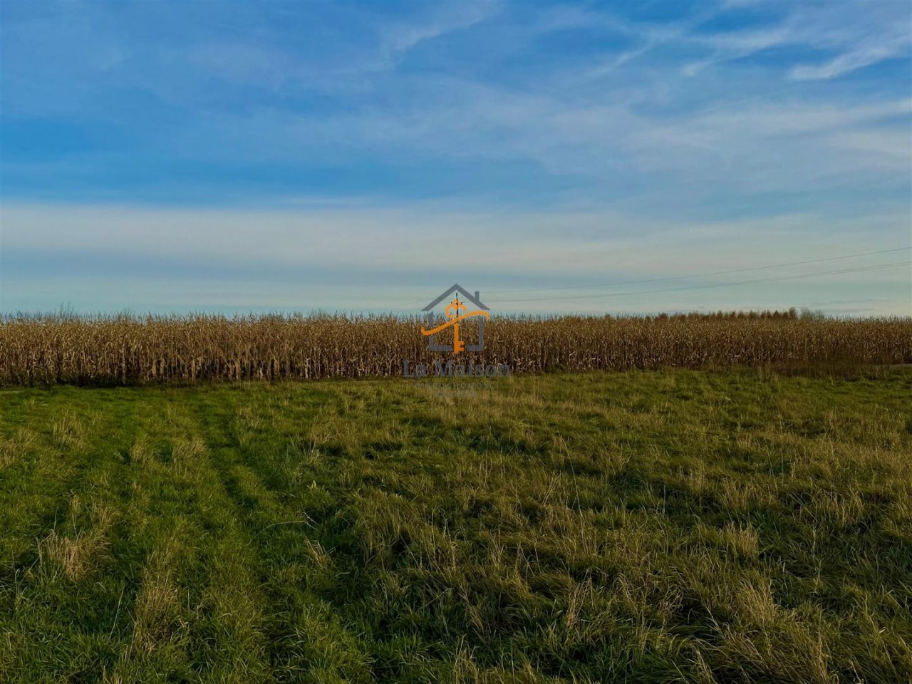 Działka budowlana Rusocice. Zdjęcie 5