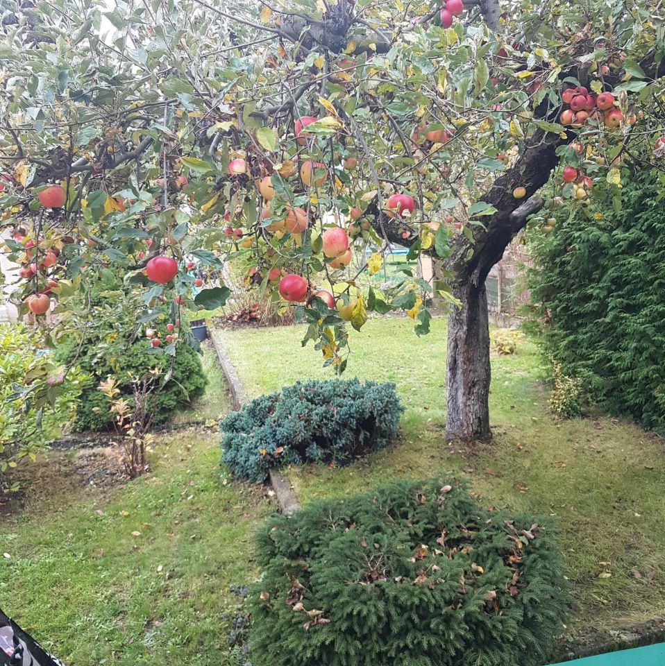 Działka rod Zielona Góra Jędrzychów. Zdjęcie 6