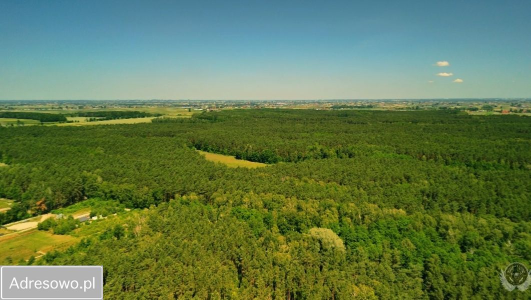 Działka budowlana Skotniki. Zdjęcie 2