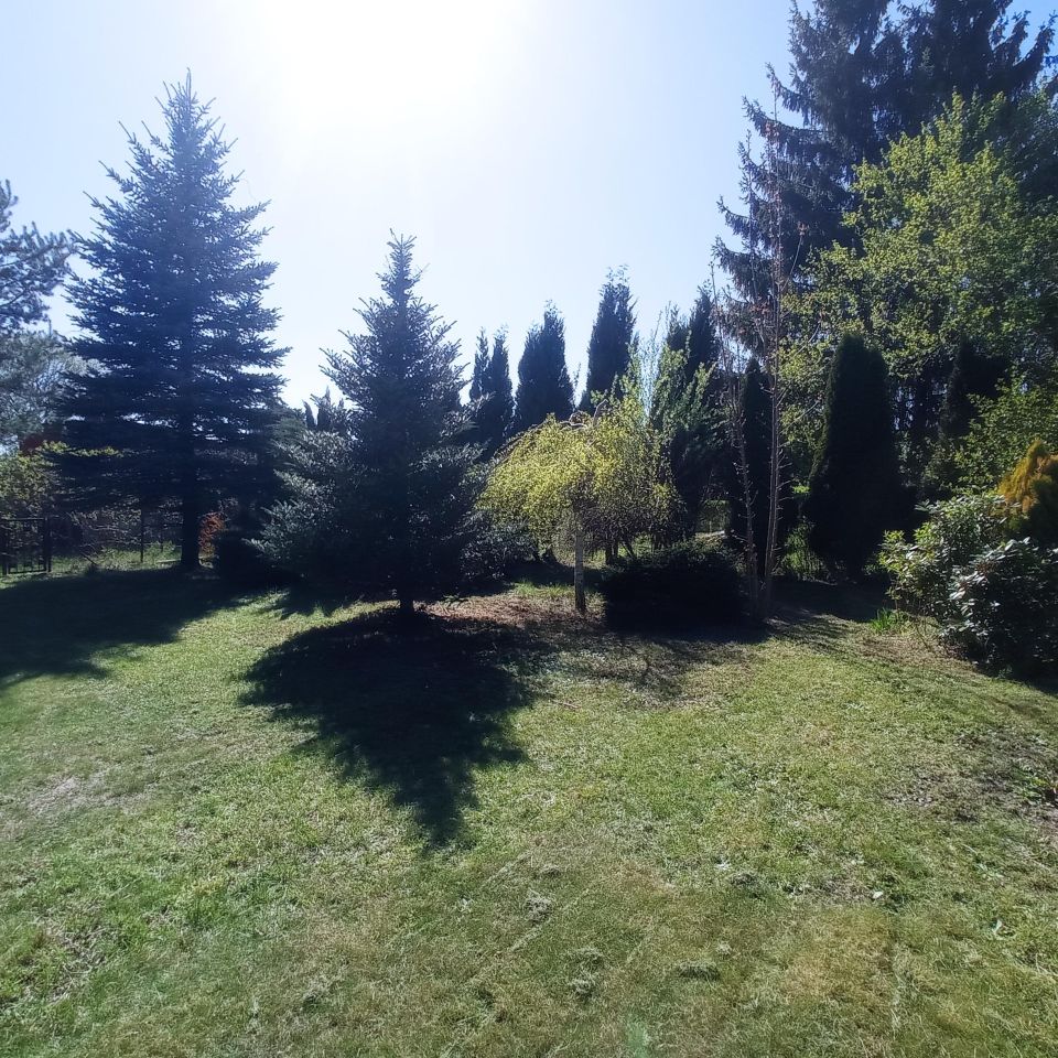 Działka rod Sosnowiec Kazimierz, ul. Limbowa. Zdjęcie 8