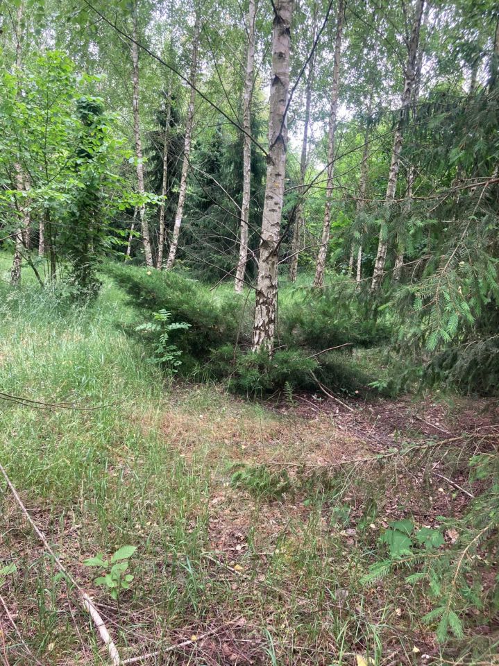 Działka budowlana Husinka. Zdjęcie 5