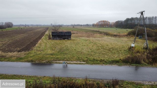 Działka rolno-budowlana Wójtostwo Kozienice-Kolonia. Zdjęcie 1