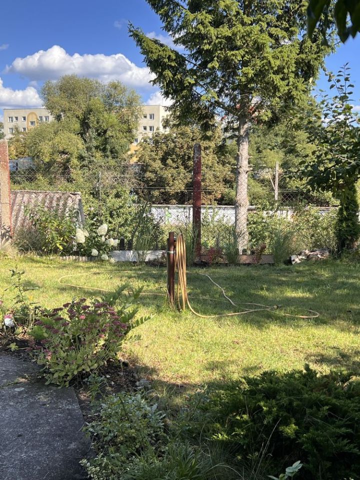 Działka rod Szczecin Pomorzany, ul. Przy Ogrodach. Zdjęcie 1