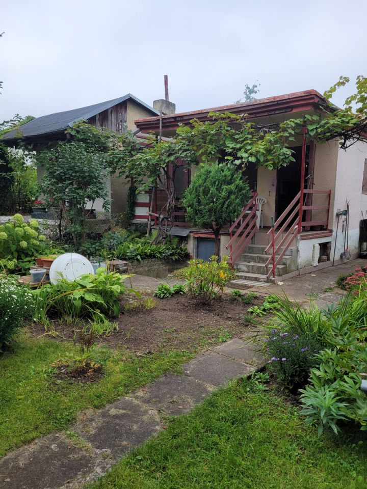 Działka rod Wrocław, ul. Strachowicka. Zdjęcie 2