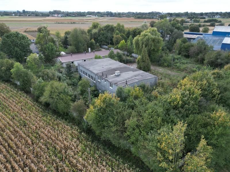 Hala/magazyn Siedliszowice. Zdjęcie 3