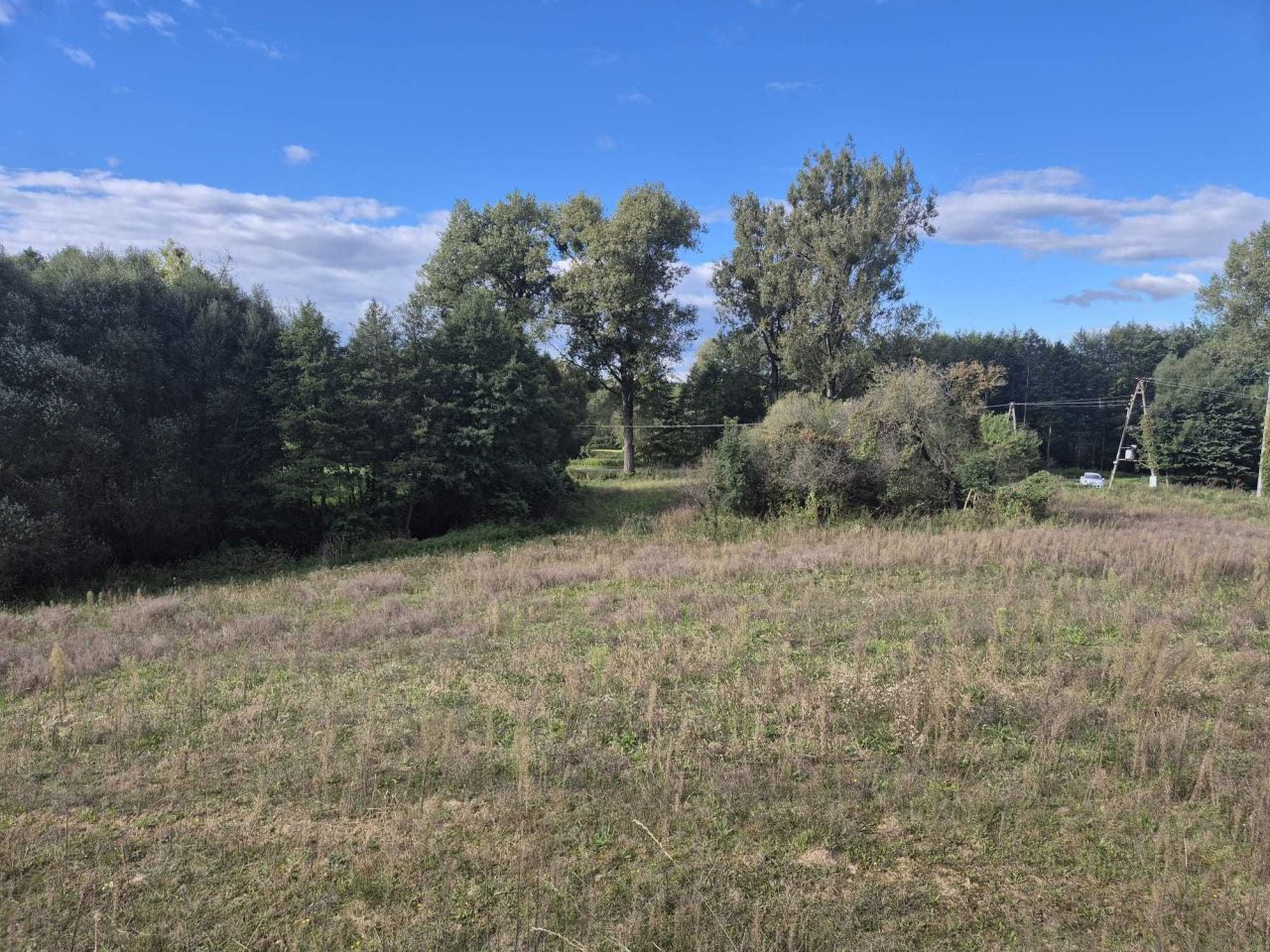 Działka siedliskowa Trzcin. Zdjęcie 6