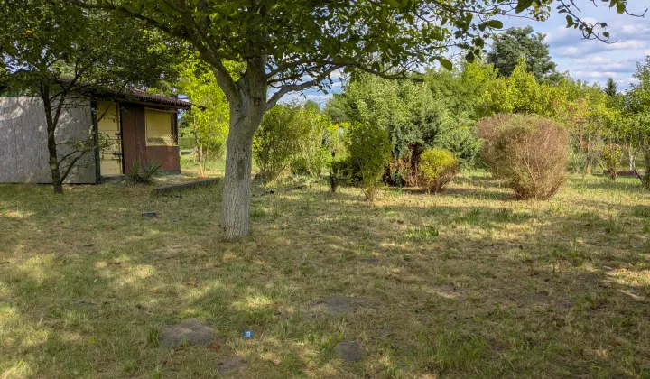 Działka rod Radom Wacyn, ul. Przytycka