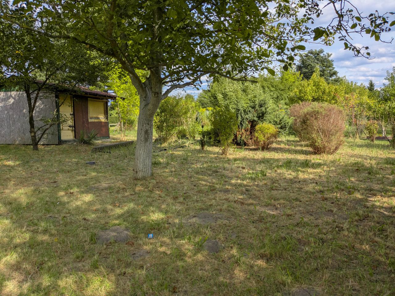 Działka rod Radom Wacyn, ul. Przytycka