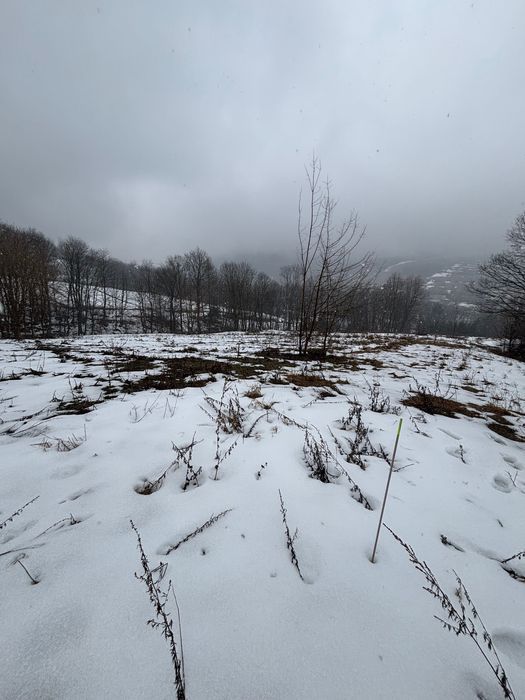 Działka budowlana Rymanów-Zdrój. Zdjęcie 4