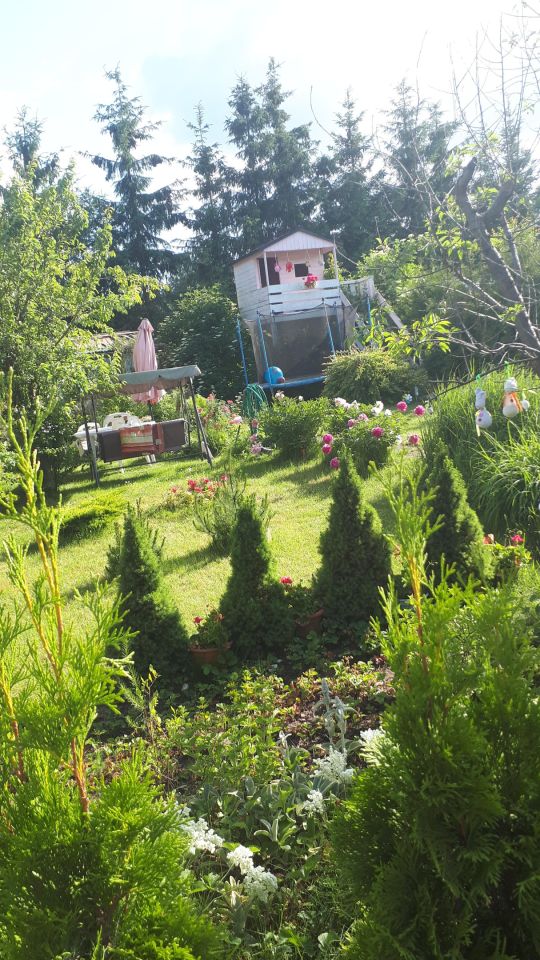 Działka rod Szczecin Krzekowo, ul. Waleriana Łukasińskiego. Zdjęcie 3