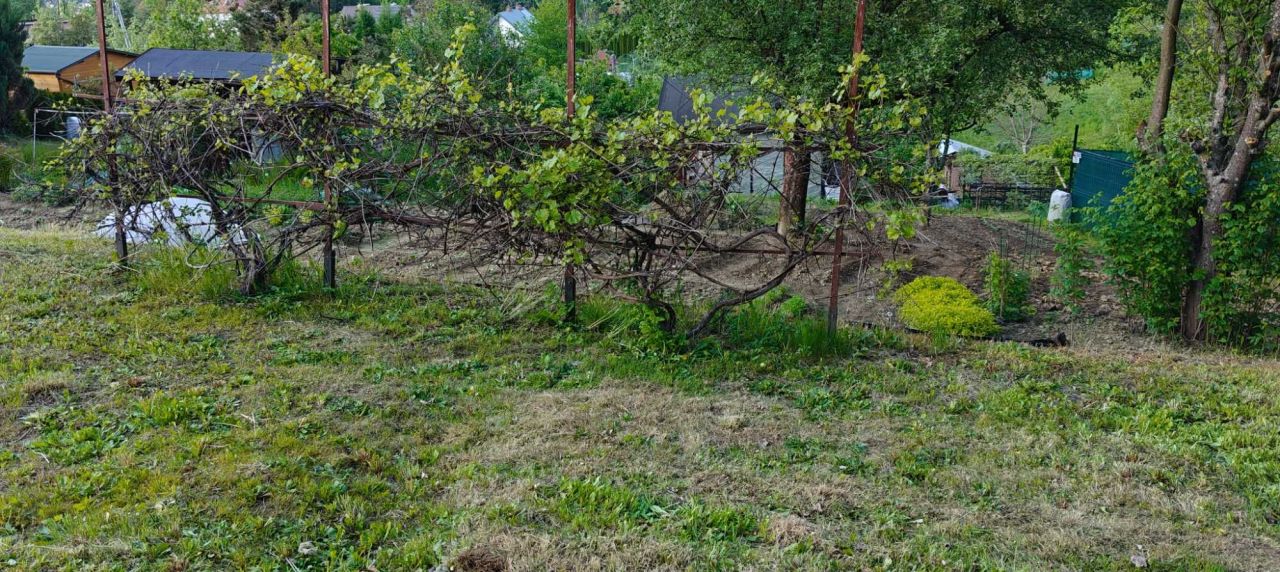 Działka rod Gorlice, ul. Władysława Łokietka. Zdjęcie 5