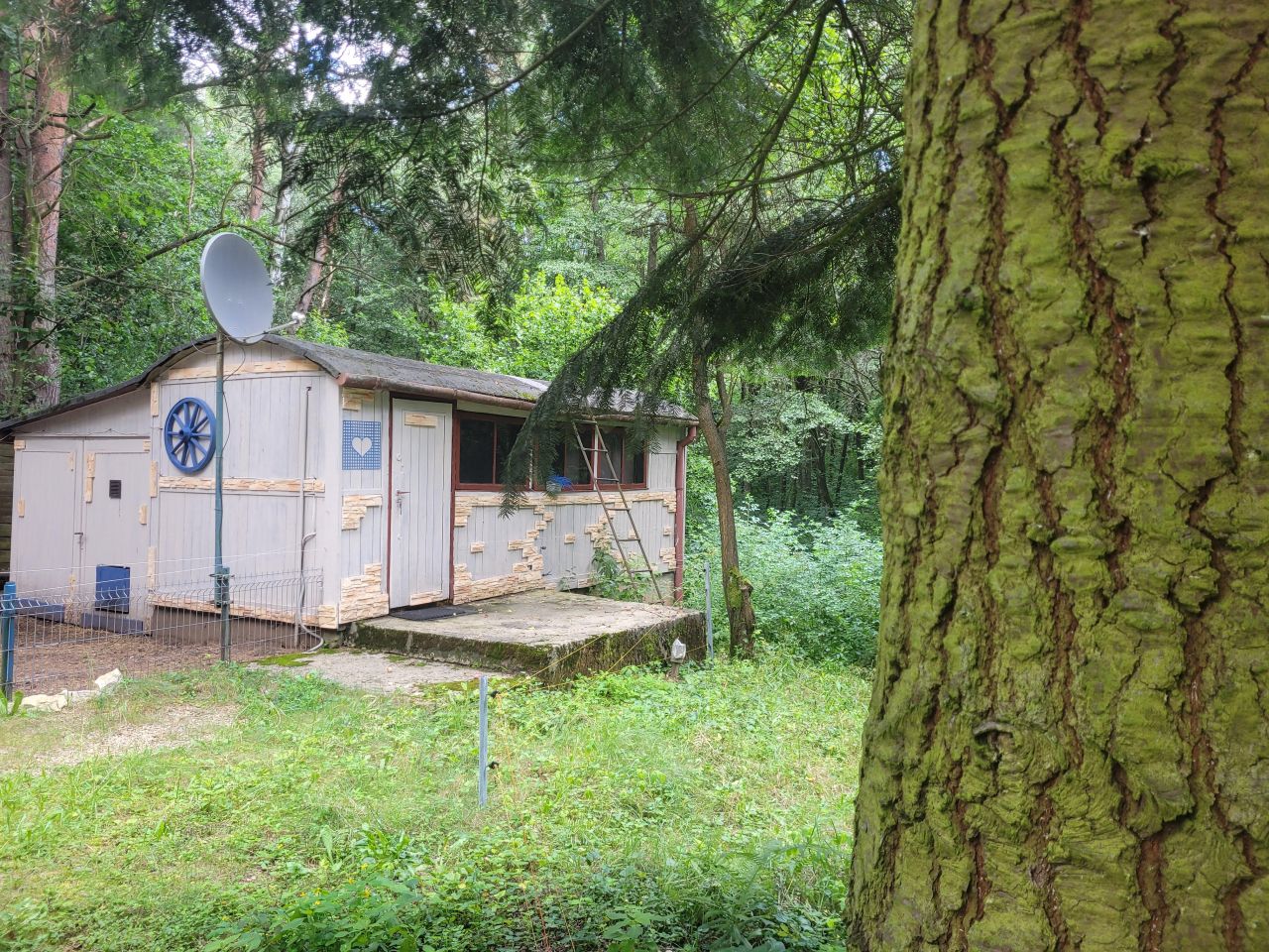 Działka rekreacyjna Czekanka. Zdjęcie 21