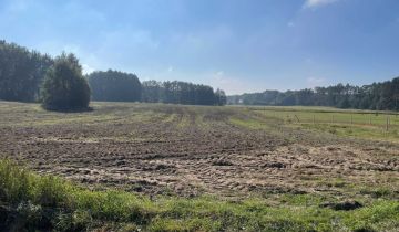 Działka budowlana Borowy Młyn Błotnia