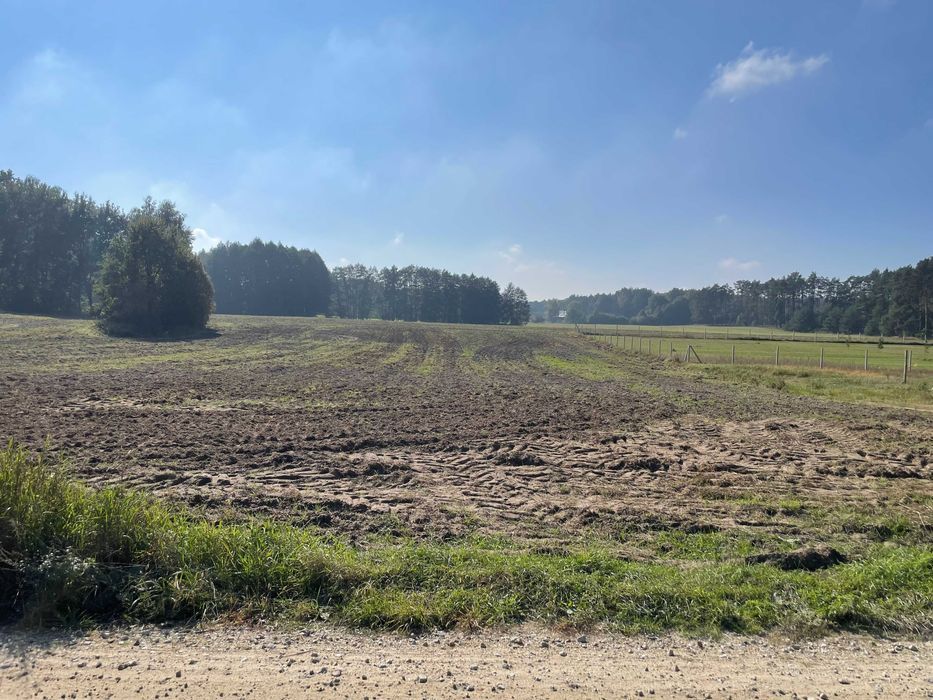 Działka budowlana Borowy Młyn Błotnia. Zdjęcie 2