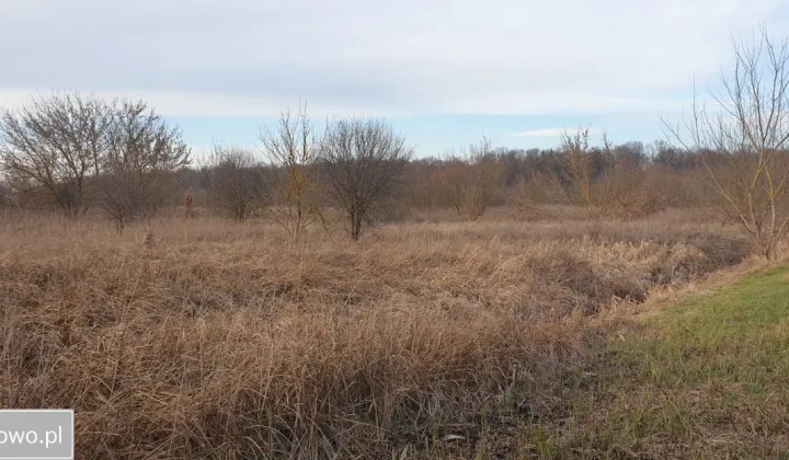 Działka rolna Łomża, ul. Grobla Jednaczewska