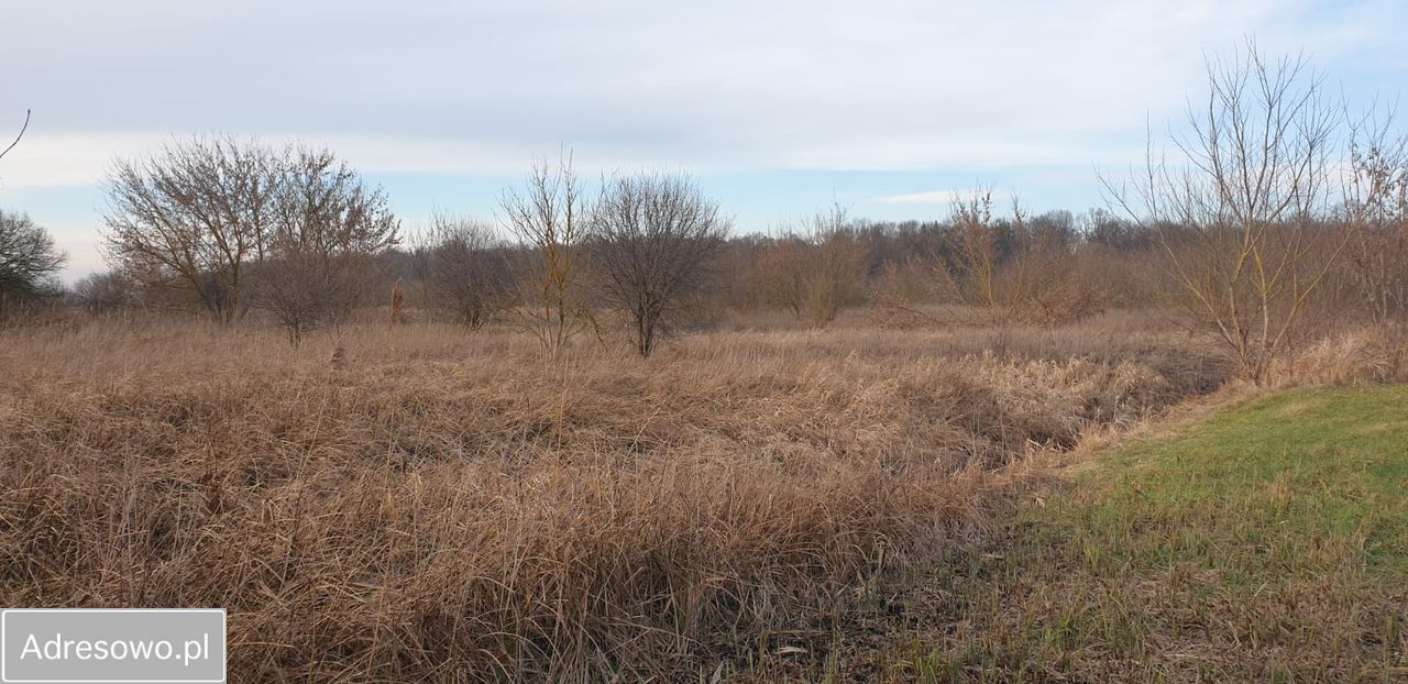 Działka rolna Łomża, ul. Grobla Jednaczewska