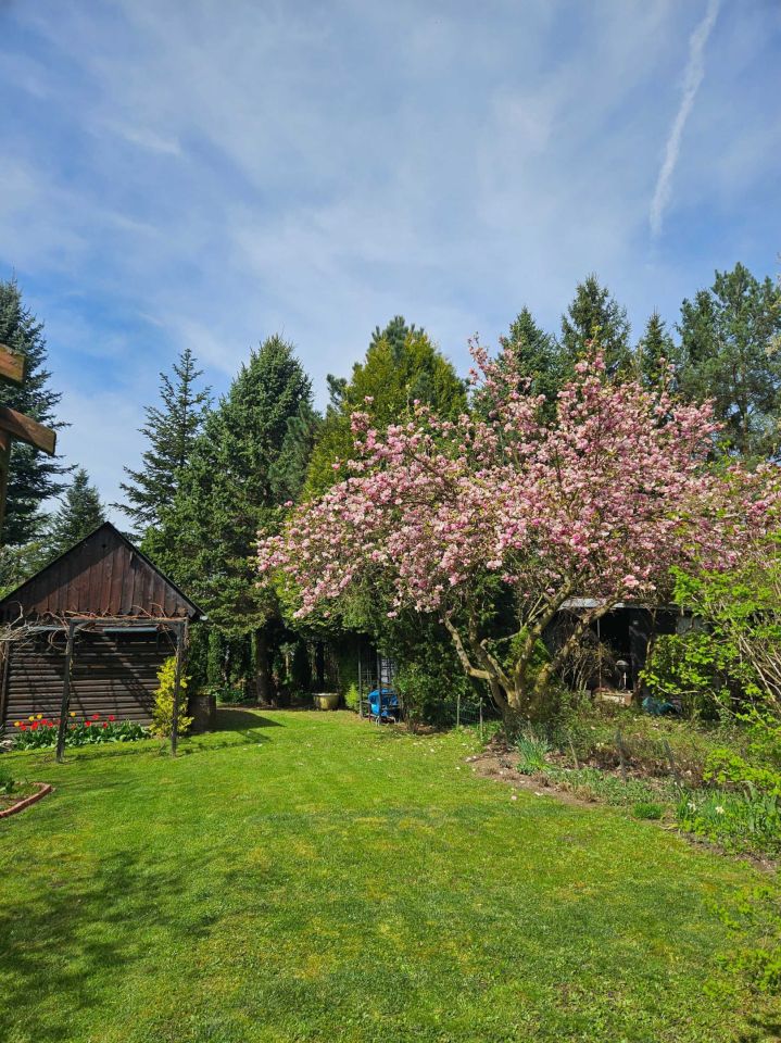 Działka rod Brzezie, ul. Działkowa. Zdjęcie 8