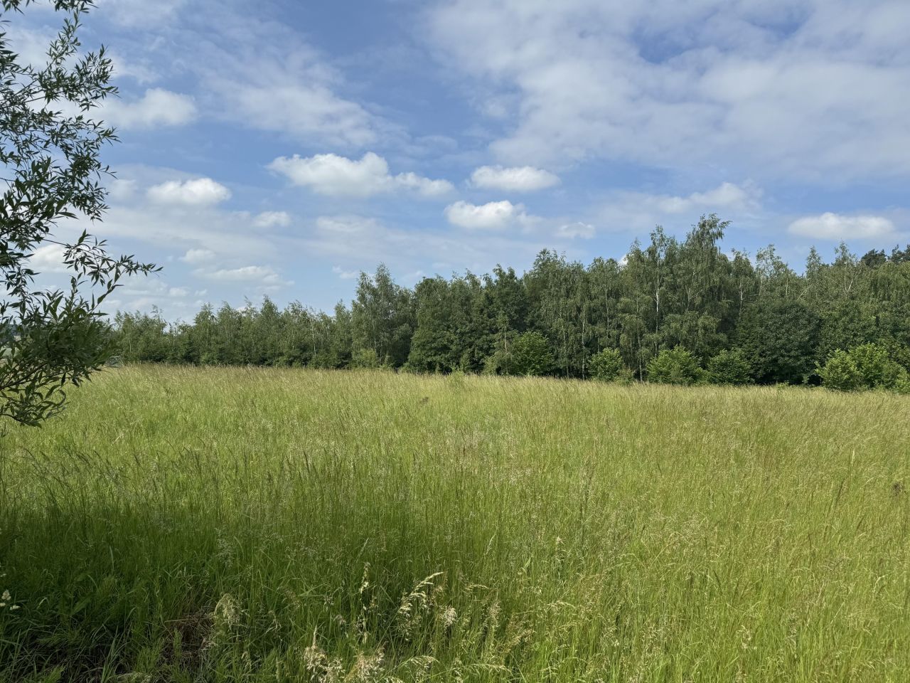 Działka budowlana Moszyn. Zdjęcie 3