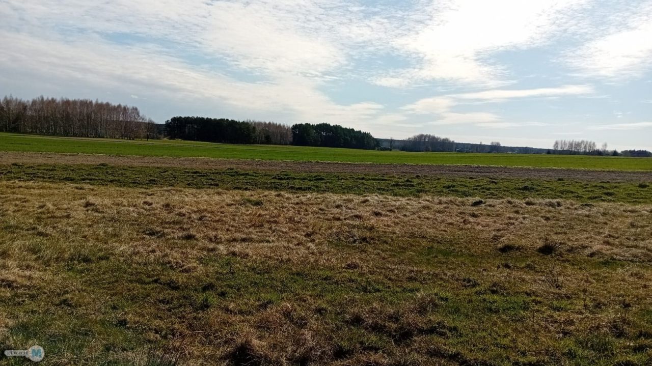 Działka leśna Strawczyn. Zdjęcie 6