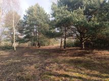 Działka budowlana Łuszczów Pierwszy. Zdjęcie 4