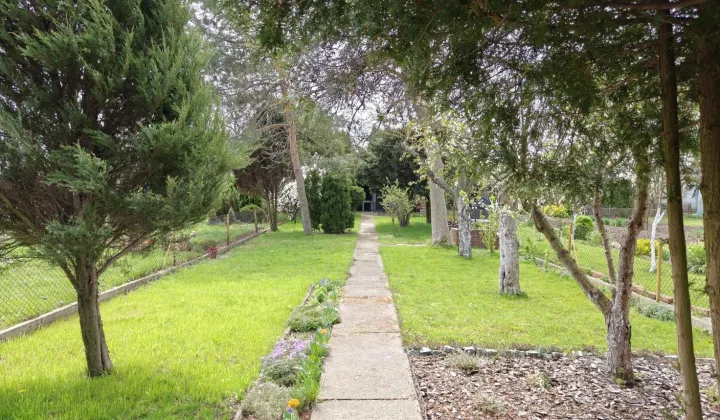 Działka rod Pleszew, ul. Wierzbowa