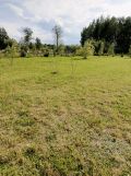 Działka rolno-budowlana Klempicz. Zdjęcie 3