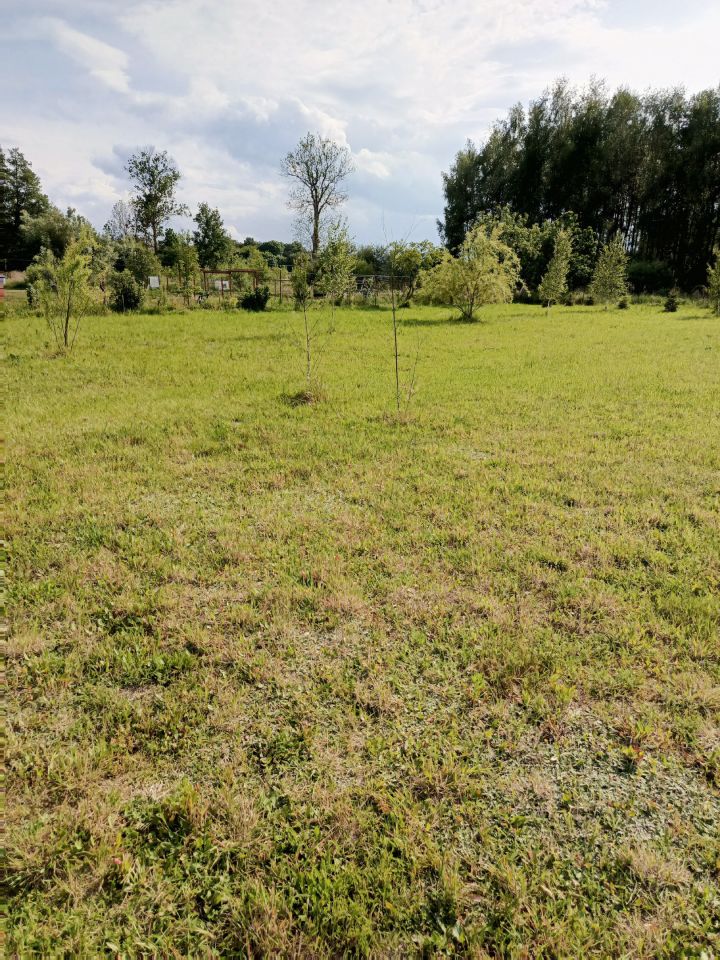 Działka rolno-budowlana Klempicz, Klępicz 20b. Zdjęcie 6