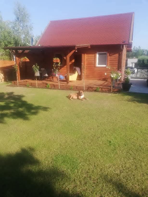 Działka rod Pokrzywnica, ul. Działkowa. Zdjęcie 4