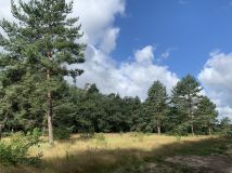 Działka budowlana Czerna. Zdjęcie 2