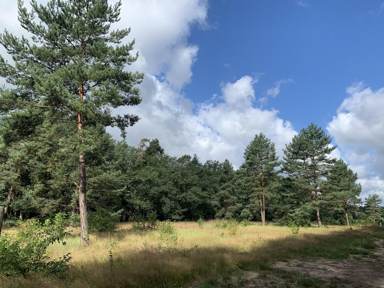 Działka budowlana Czerna. Zdjęcie 3