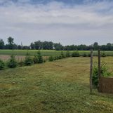 Działka rolno-budowlana Jawidz. Zdjęcie 3