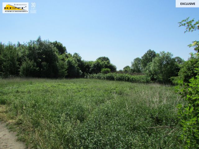 Działka budowlana Sadlno. Zdjęcie 1