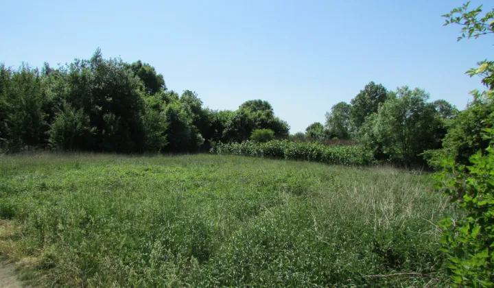 Działka budowlana Sadlno