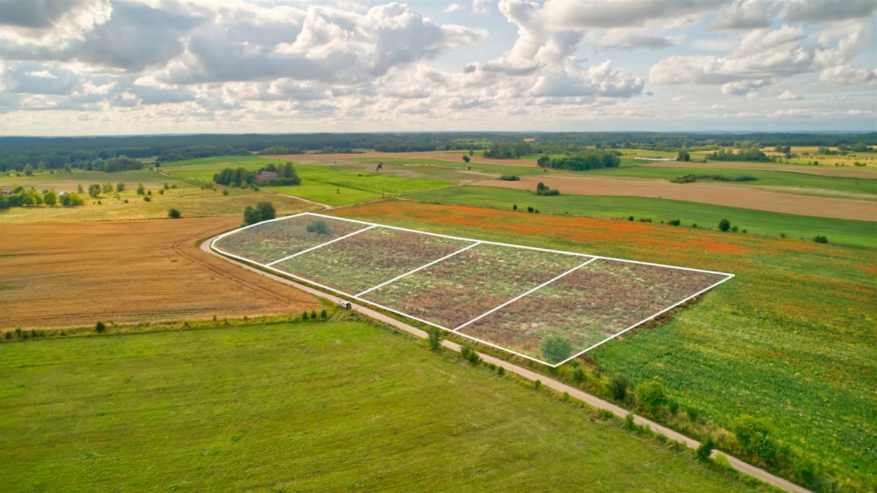 Działka rolna Dziubiele. Zdjęcie 4