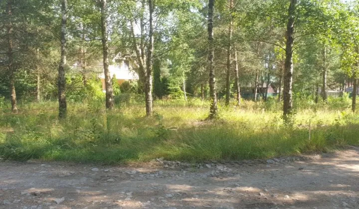 Działka rekreacyjna Bożepole Królewskie