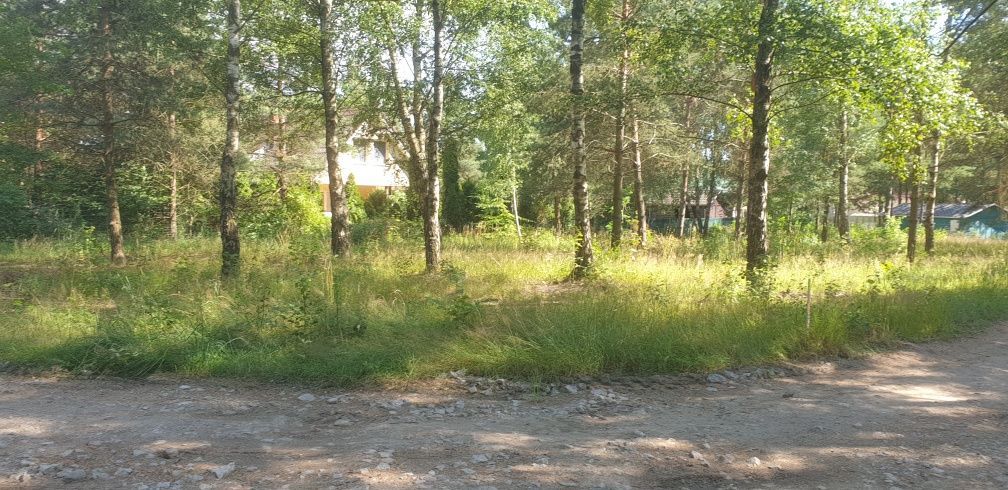 Działka rekreacyjna Bożepole Królewskie