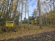 Działka budowlana Czarny Las. Zdjęcie 3