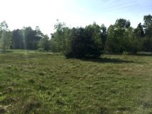 Działka rolno-budowlana Nowy Kozłów Drugi. Zdjęcie 2