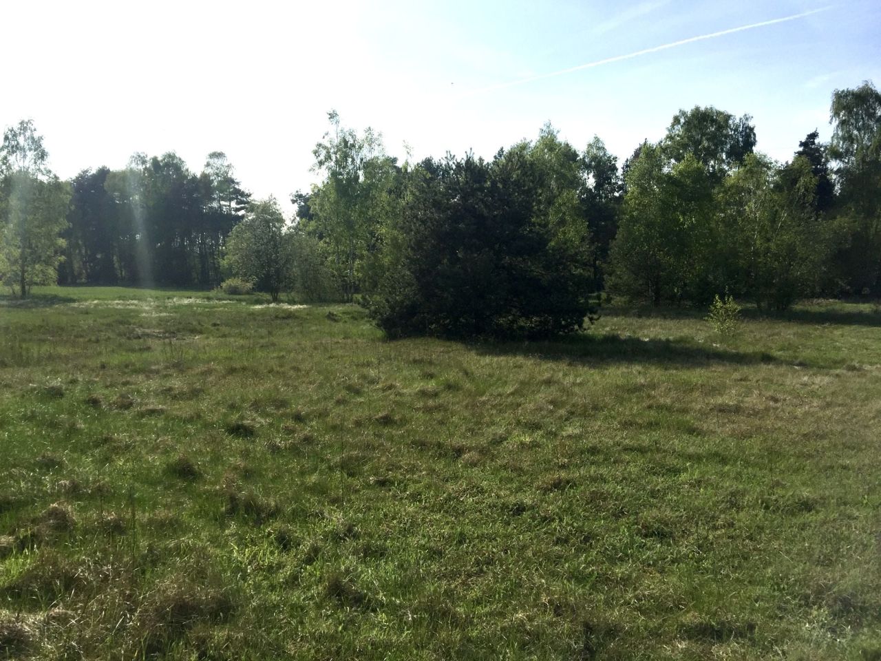 Działka rolno-budowlana Nowy Kozłów Drugi. Zdjęcie 3