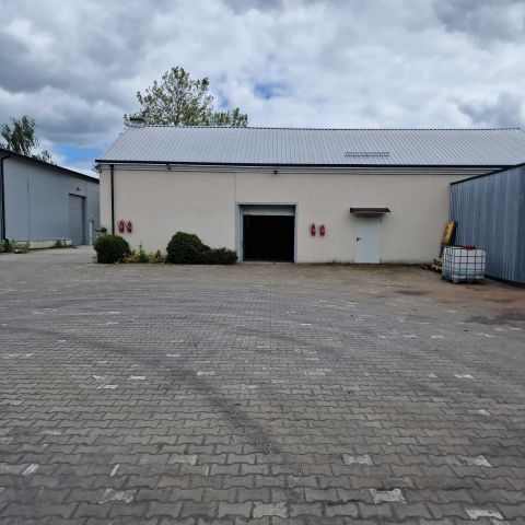 Hala/magazyn Falenty Nowe, ul. Willowa. Zdjęcie 1