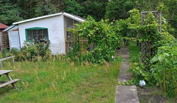 Działka rod Zielona Góra Przylep