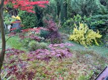 Działka rod Jaryszki. Zdjęcie 2