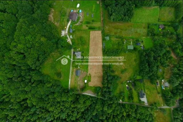 Działka inwestycyjna Buczkowice. Zdjęcie 7
