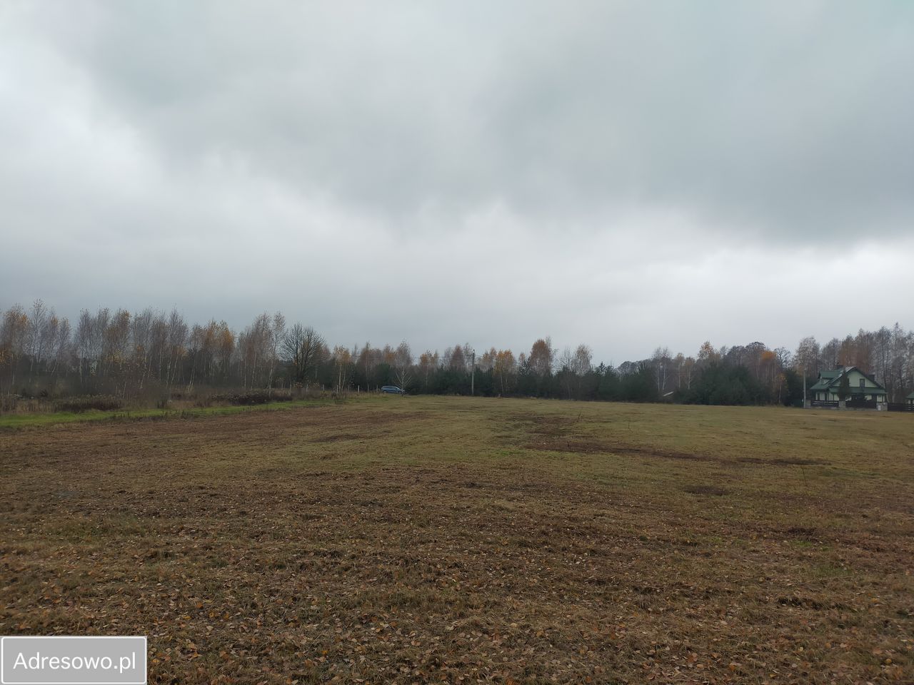 Działka rolno-budowlana Mokra Wieś. Zdjęcie 6